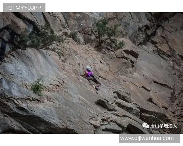 杭州攀岩队与武汉攀岩队赛后复盘分析比赛节奏与关键时刻的精彩对决
